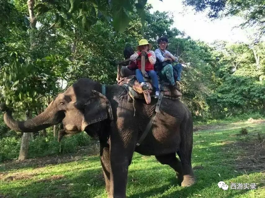 她向外国警察投诉我，自驾环球被迫离开尼泊尔，紧接着就地震