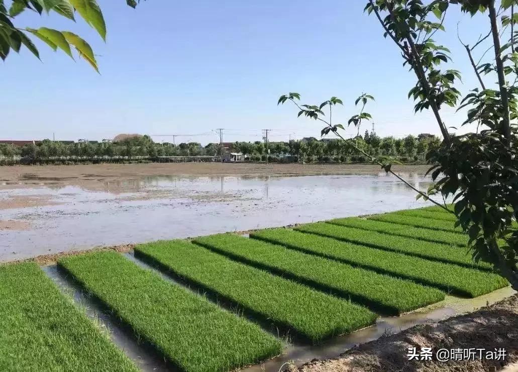 疫情不严重了口罩还能卖吗,疫情发生后我应该怎么办