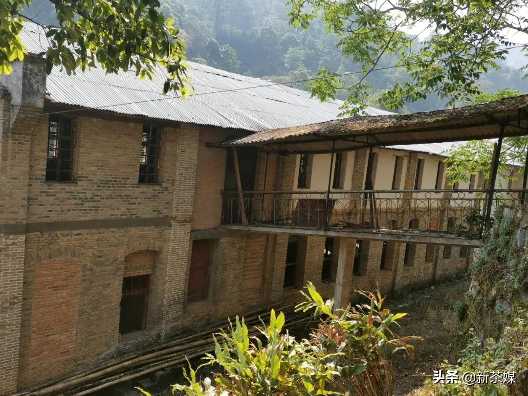 南糯山茶叶的故事,南糯山茶厂视频