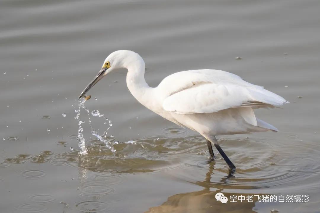 奥林巴斯75-300mm镜头测评人像,奥林巴斯150mm到400mm镜头