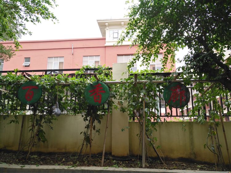 继往开来，绚丽“出彩”一一八桂绿城小学2018年工作汇报