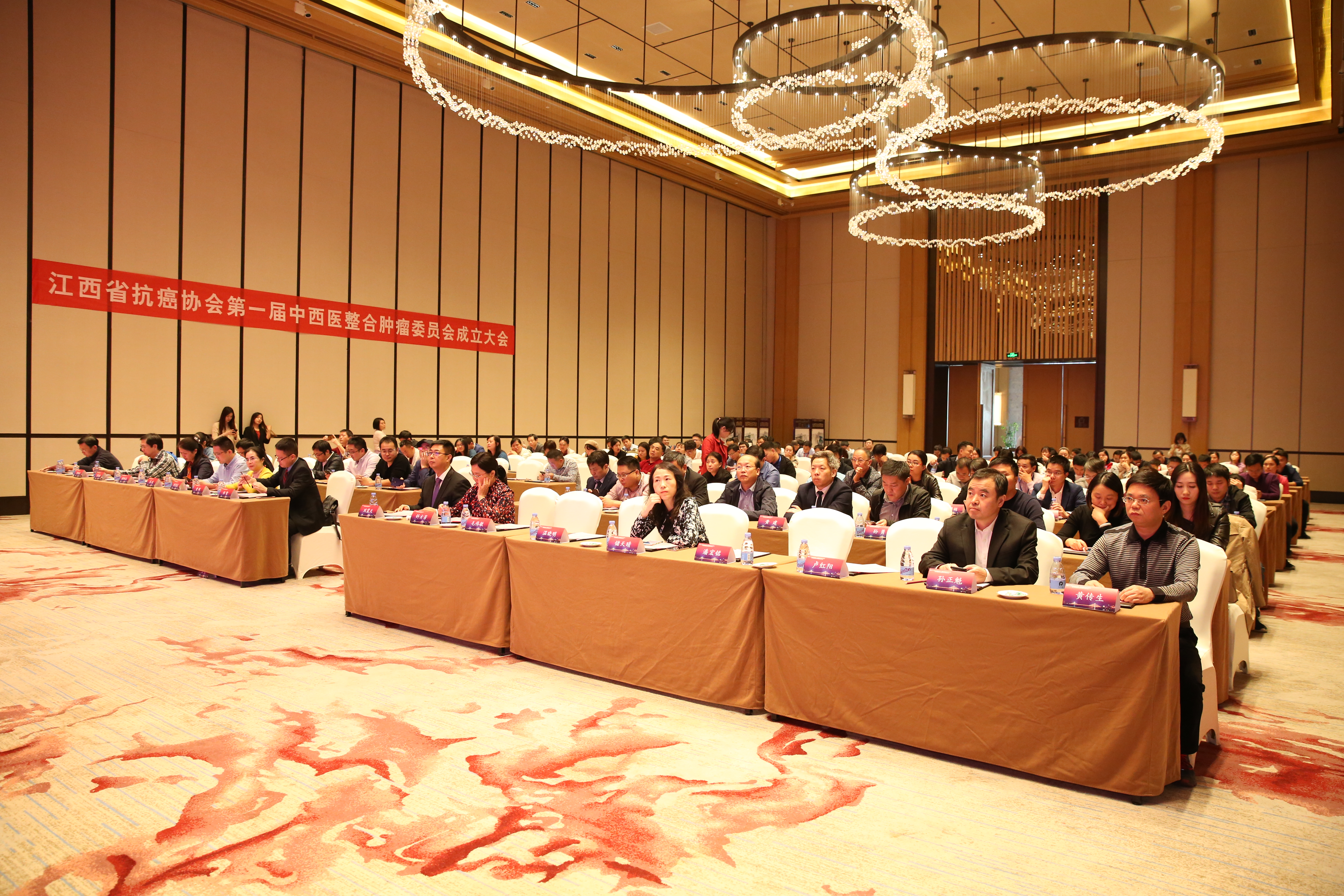 肿瘤精准治疗委员会,江西肿瘤医院中西医结合科