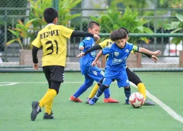 名嘴董路指出国足落后根源,足球评论员董路吐槽大会