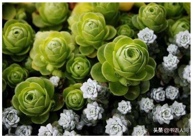 年底大扫除一招轻松解决,大扫除一定要打扫好这几个地方