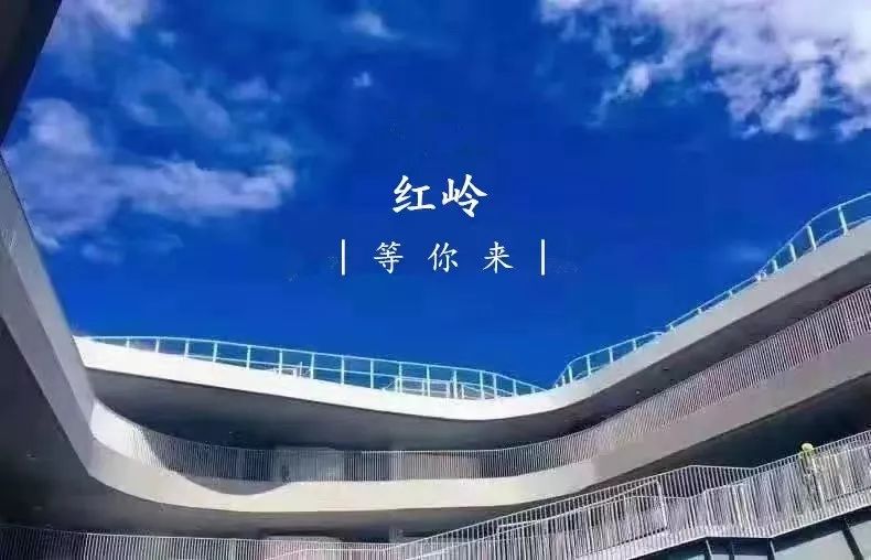 红岭中学可以走读吗,深圳红岭中学优缺点
