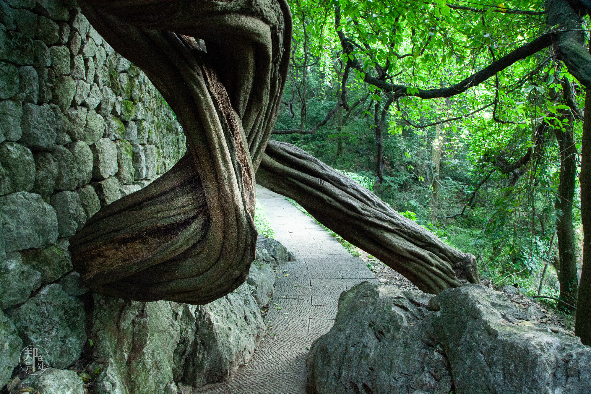 坐公交游杭州几路最好,杭州87路公交沿路风景