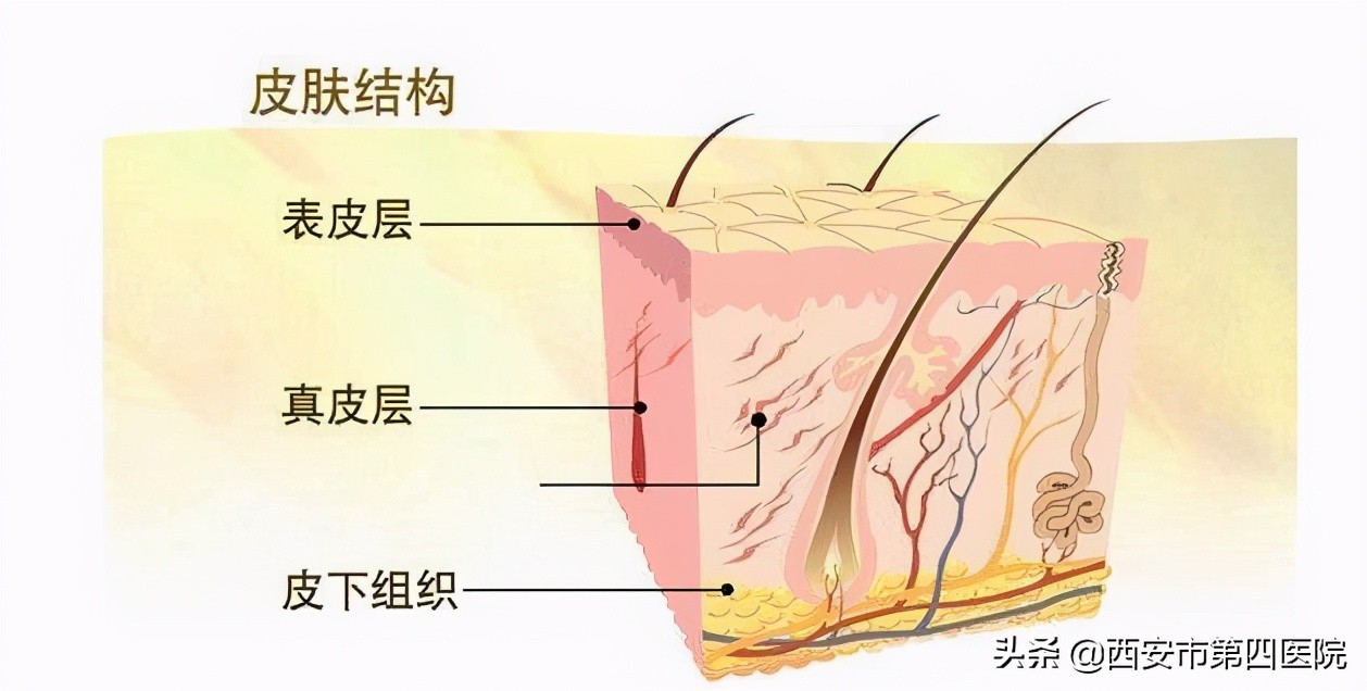 安心变美推荐,安心变美护肤