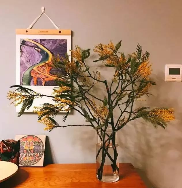 插花花材的固定技巧,三种花材插花教程新手入门