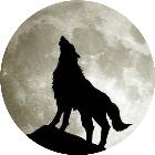 吵架时如何最短时间击垮对方？这个答案太绝了