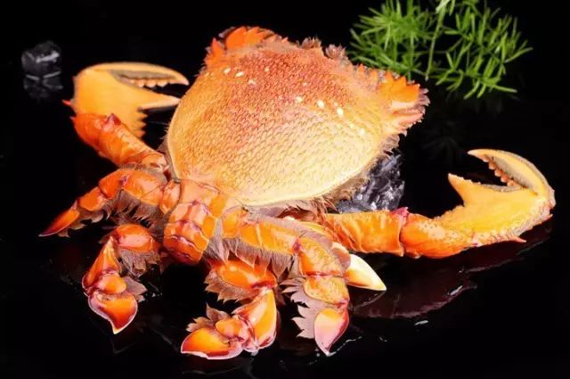 醴陵市海鲜收藏排行榜,海鲜礼盒收藏价格表图