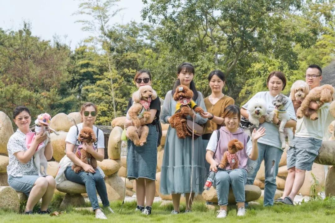 带着十一只狗狗去旅行,带着四只狗狗去旅行