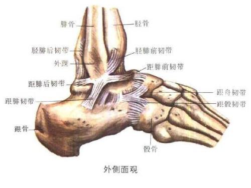 一个简单训练前保护脚踝的方法,伤病后增强脚踝力量的训练方法