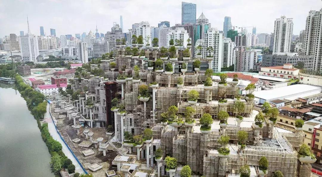 大局已定尘埃落定,大局已定开始扭转乾坤