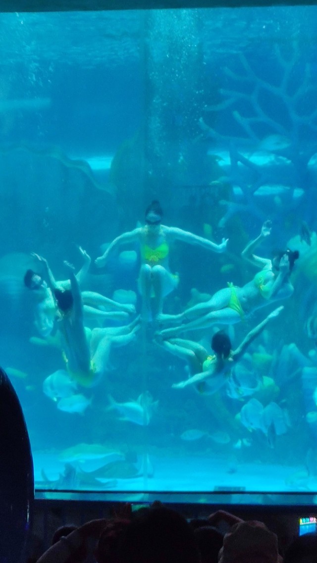 福州欧乐堡海洋世界家庭套票团购,福州欧乐堡海洋世界门票价格