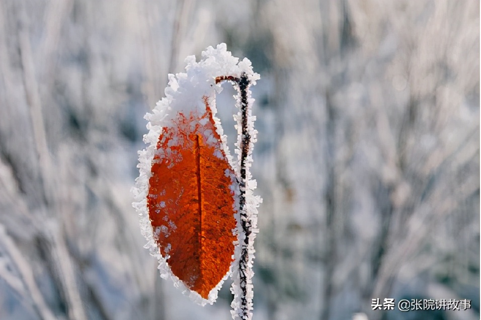 张院谈健康,张院介绍