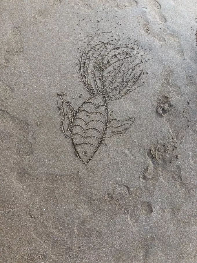 枸杞岛两天一夜最全旅游攻略,一生必去的枸杞岛