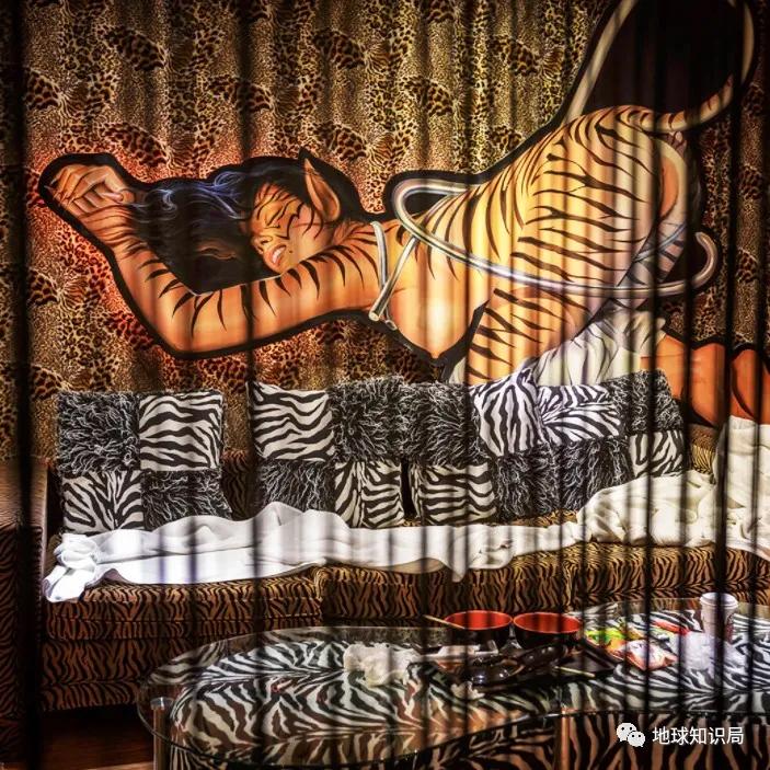 台湾爱情旅馆介绍,什么是地球知识局