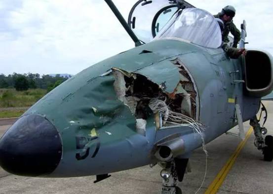 空中飞鸟撞击飞机,空中战斗机和导弹对战