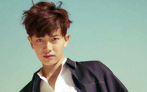 任嘉伦哪年进娱乐圈,英年早婚的男星任嘉伦28岁喜当爹