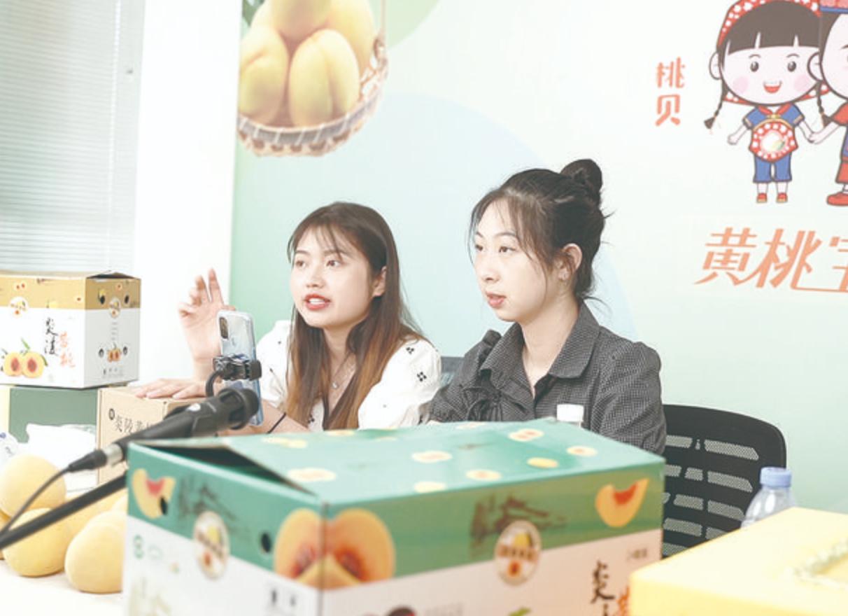 炎陵黄桃的特点,炎陵黄桃的资料