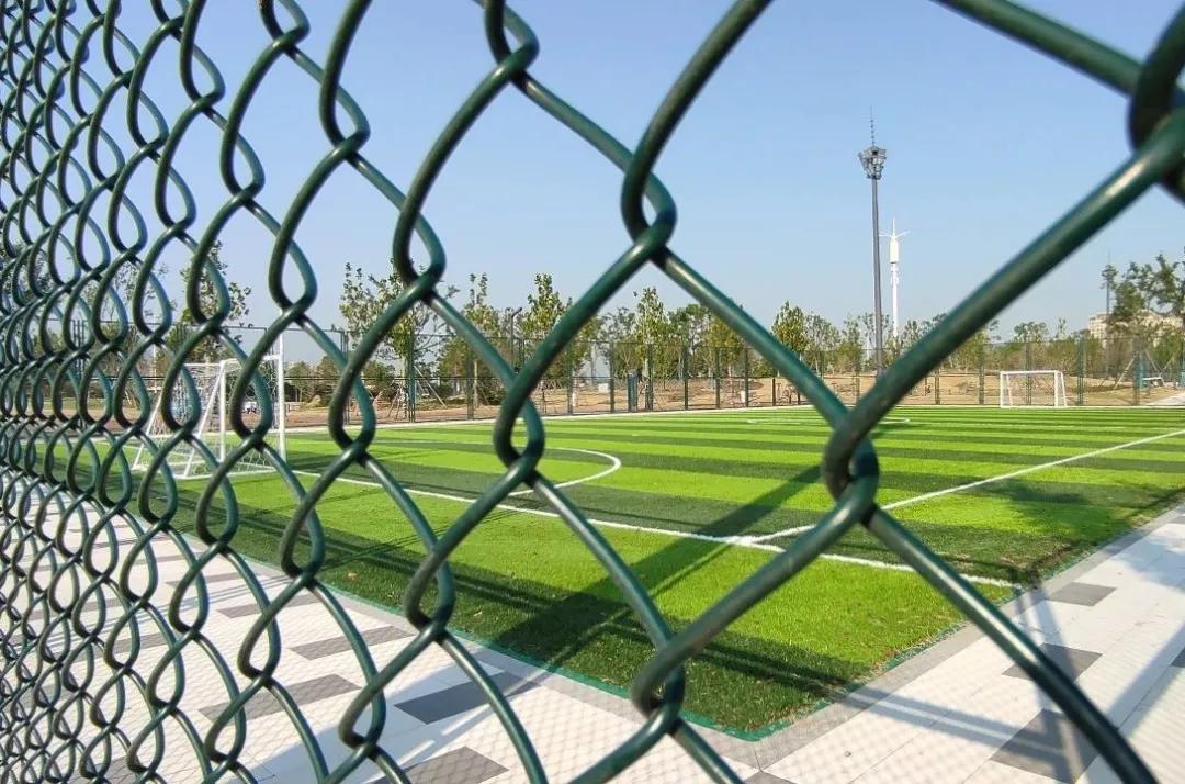 盐龙公园健身项目有哪些,盐龙体育公园室内