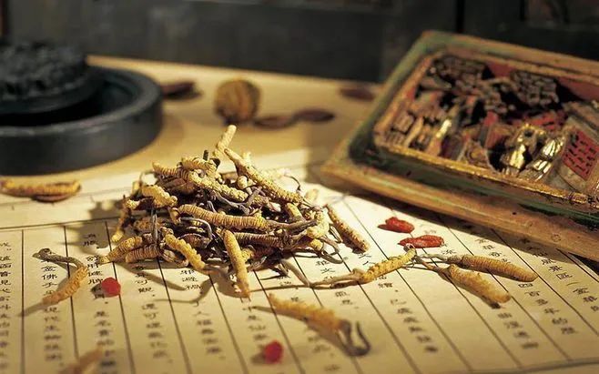 日本中医药专利真的吗,中国与日本中医药对比