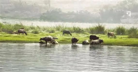 重庆五一冷门自驾,重庆出发自驾8日游攻略路线推荐