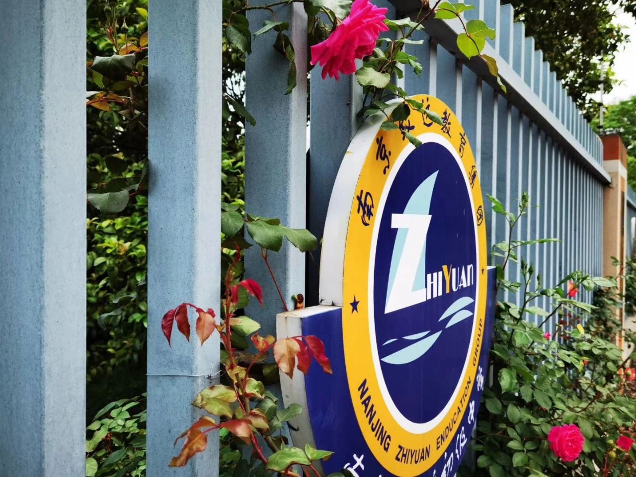 南京教育集团学校,南京初中教育集团排名