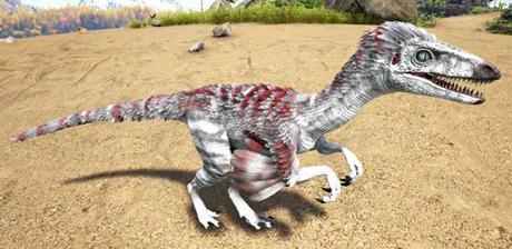 方舟生存进化手游版驯服伤齿龙,方舟生存进化手游版无齿翼龙操作