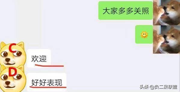 被女神拉进了舔狗群，我这个月余额就剩二毛二