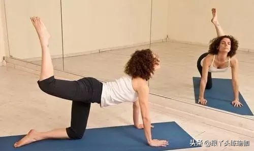 宅了这么多天，腰上的游泳圈长了几圈？想要恢复身材就赶紧动起来