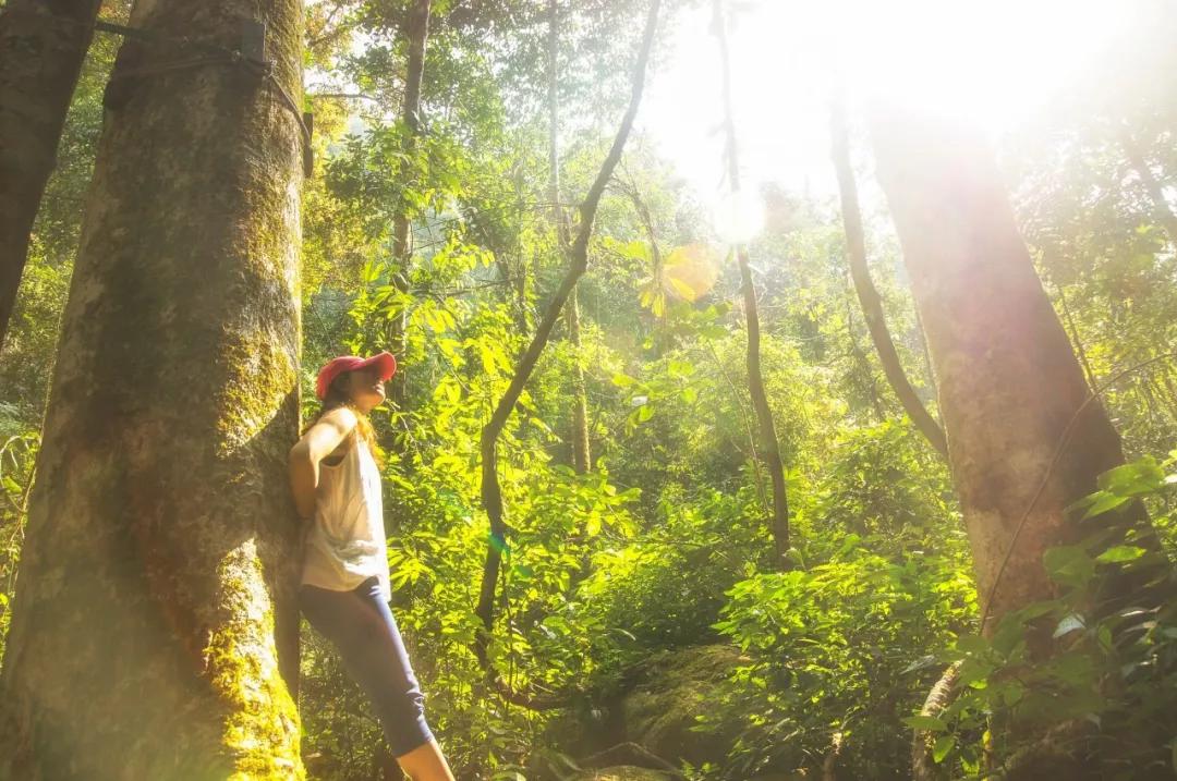 描写春的最美唐诗十首,唐诗中的春天经典诵读