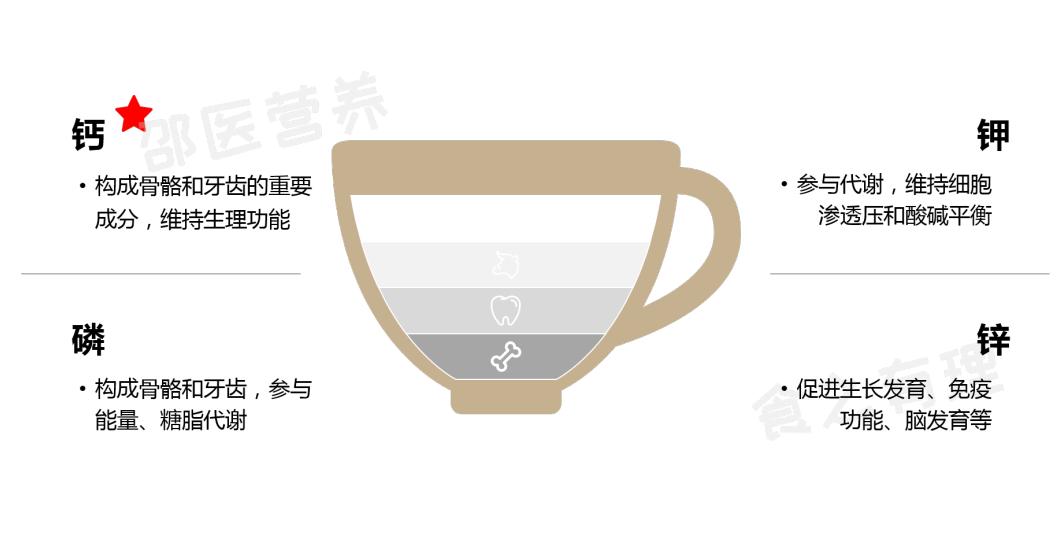 骆驼奶羊奶牛奶哪种奶粉营养高,骆驼奶与牛奶羊奶营养对比