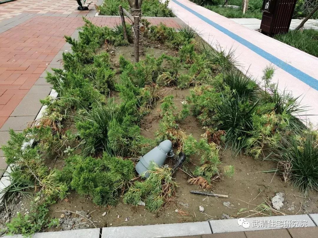 武清龙湾城居住体验,住在武清高村方便吗