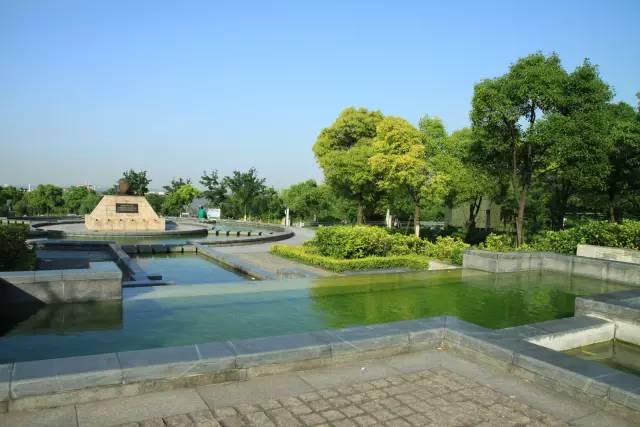 这才是上海最好的牛肉面,近期上海最牛的区