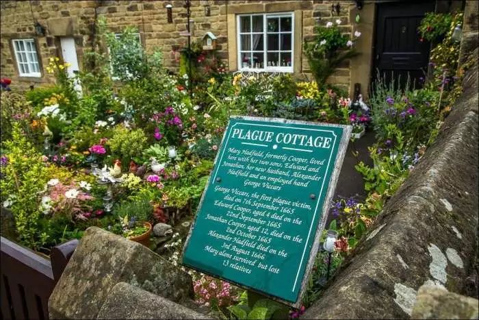 1986年英国瘟疫,英国历史上的瘟疫