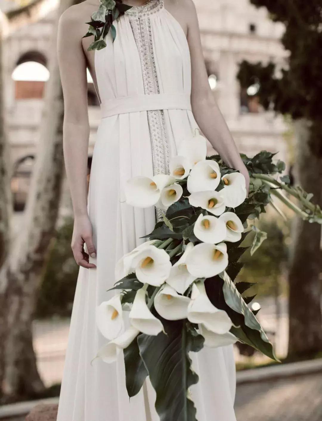 马蹄莲插花怎么养时间长,马蹄莲鲜花养护