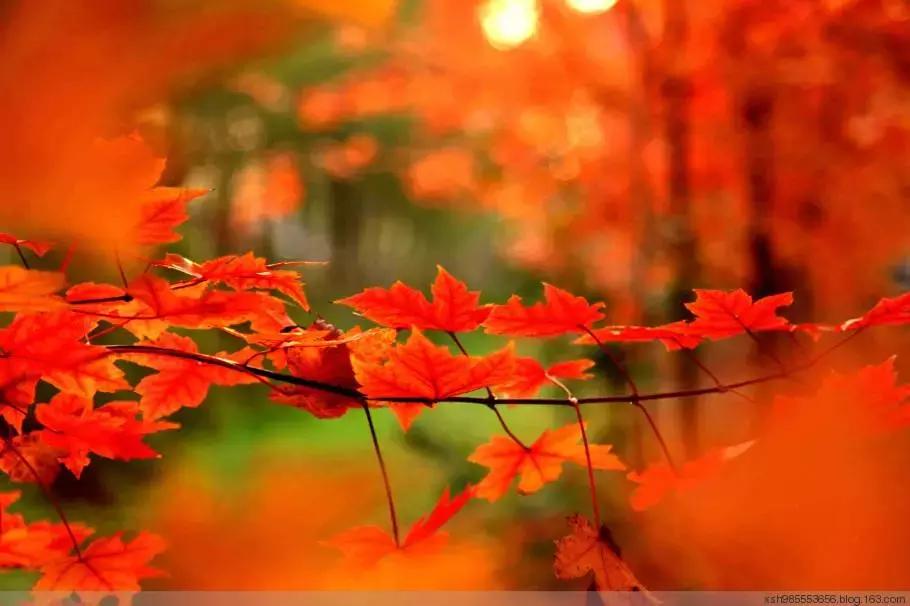 消极悲观的人怎么改变,改变悲观心态