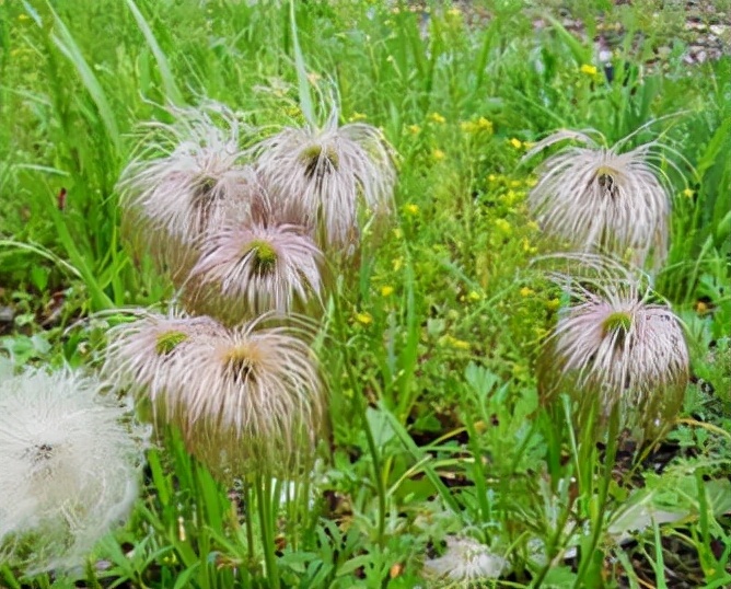 山脊上的小镇,山脊上的县城