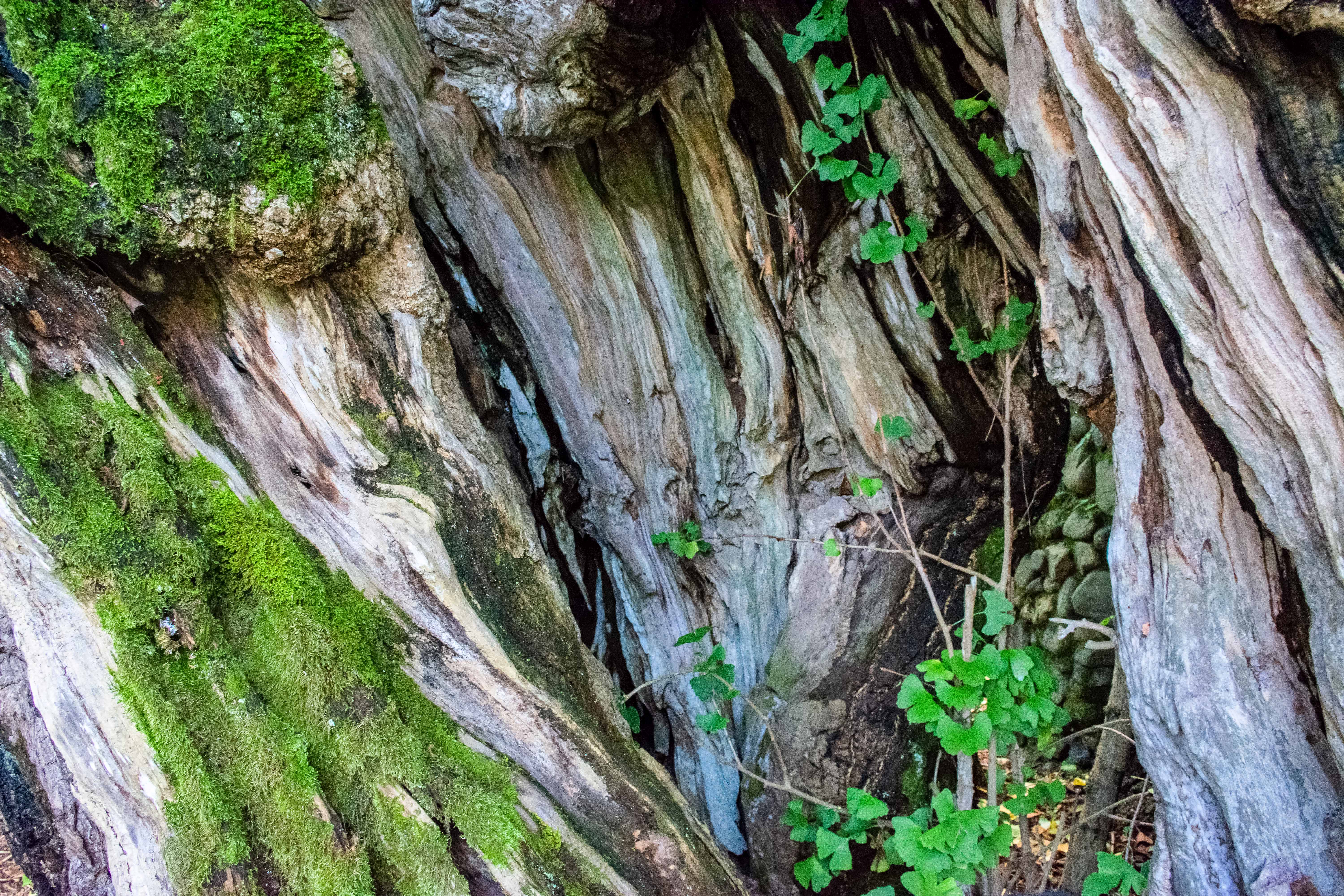 千年古村落唐模村,千年古村唐模