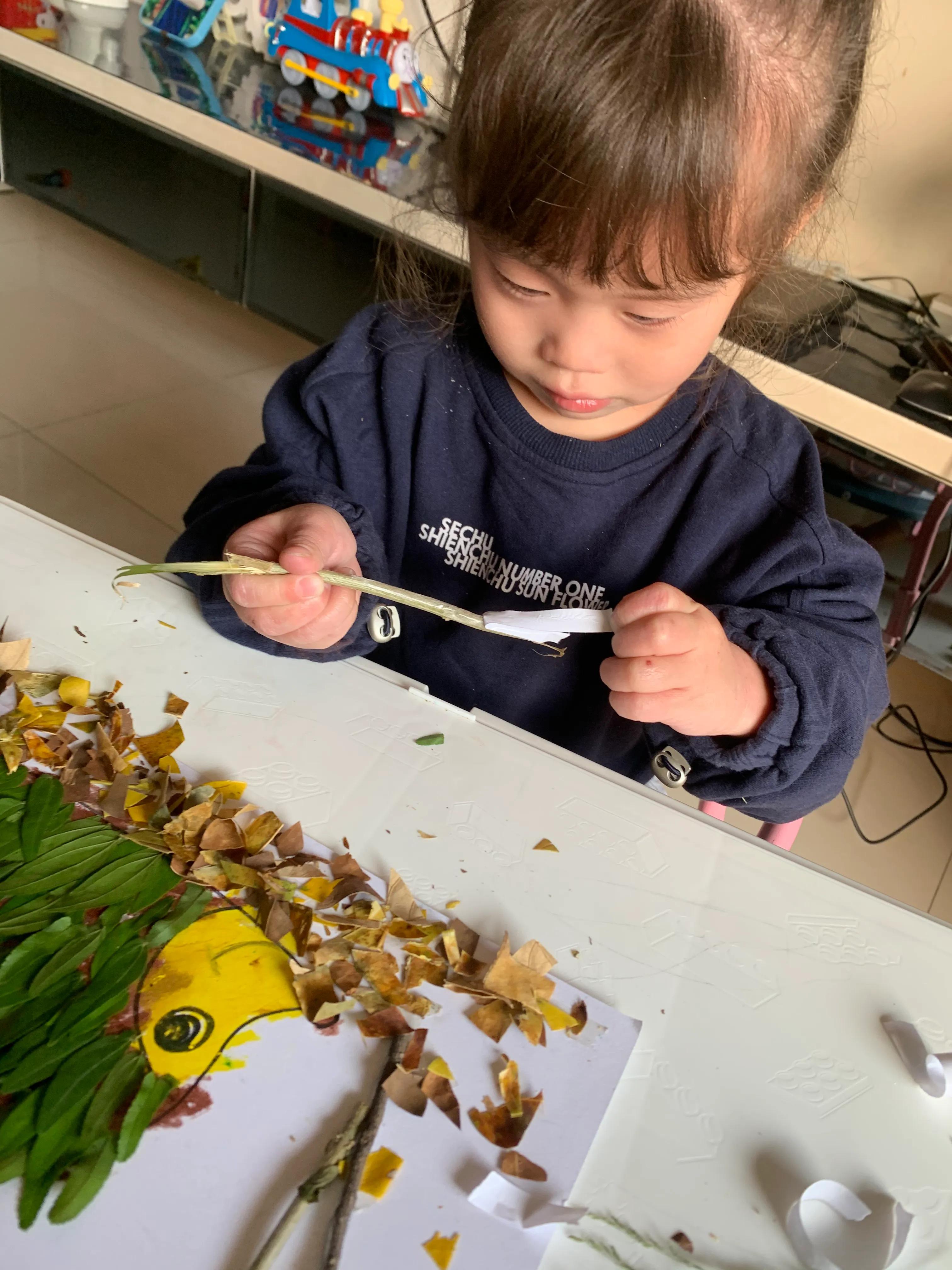 用树叶和花朵做一幅美丽的画,用银杏树叶做一幅简单漂亮的画