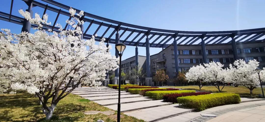 天津公办3+2本科学校有哪些,天津市专升本天津师范大学