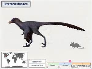 北美洲的恐龙有哪一些,阿根廷发现最古老巨型恐龙