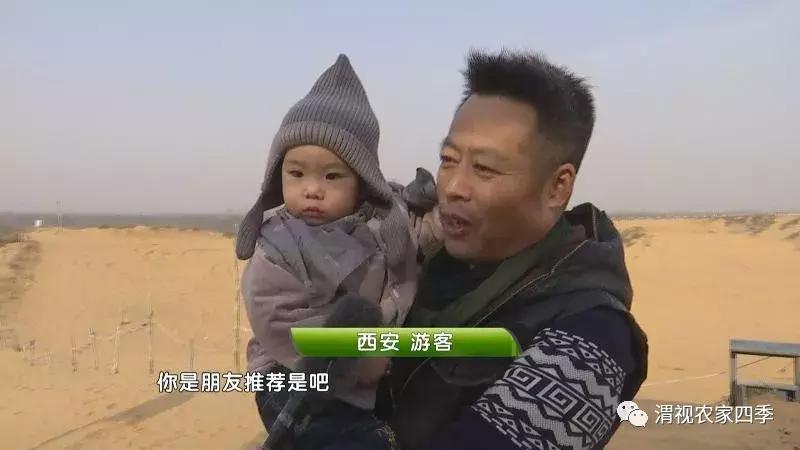 大荔金沙岛好玩的地方,大荔县金沙岛