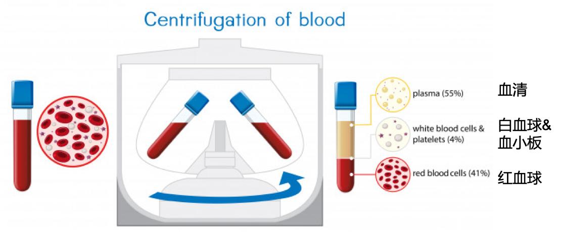 熊猫血人群的福音：“通用熊猫血”获得极大进展
