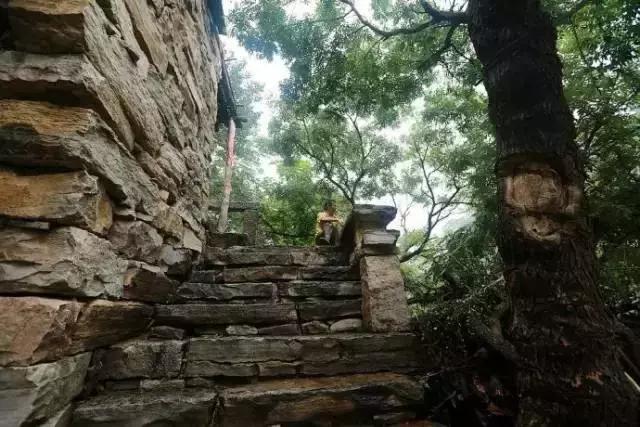 焦作大山深处的景点,焦作古村攻略