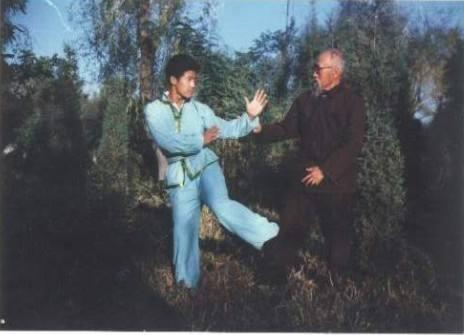 东北戳脚翻子拳拳谱,东北戳脚翻子拳功法