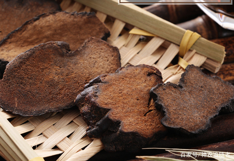 中药古今研究肉苁蓉,肉苁蓉古今研究