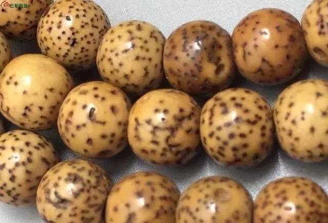 星月菩提如何盘玩成白的,星月菩提奶油黄怎么盘