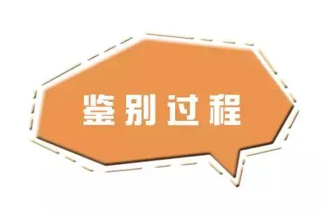 Colorpop再出旷世经典？涂上我就是西柚蜜桃仙女本人